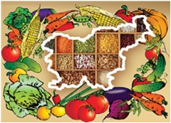 Oskrbimo Slovenijo – štafeta semen – Baza znanja 2026 – februar