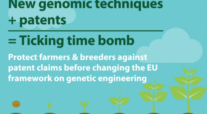 ODGOVOR MKGP glede  dopisa za nesprejetje  zakonodaje O NGT in patentiranju semen