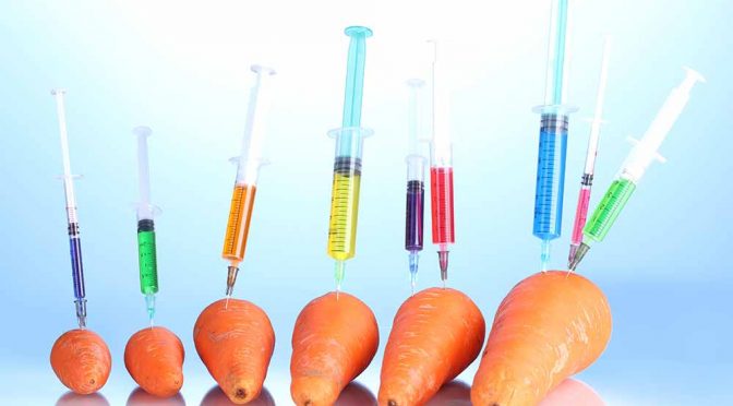 Združenje Ekoci in Zveza biodinamikov Slovenije pozivata k zaščiti semen ter vložiti ničnostne tožbe glede NGT